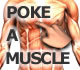 poke-a-muscle anatomy game